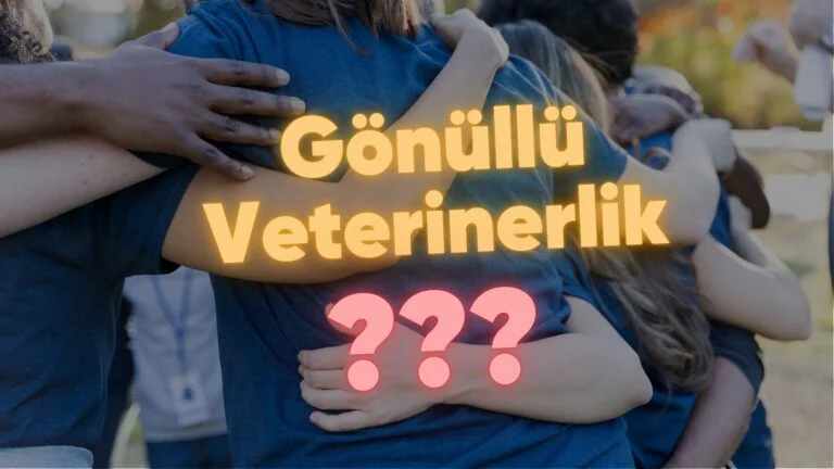 Gönüllü Veteriner Olmak