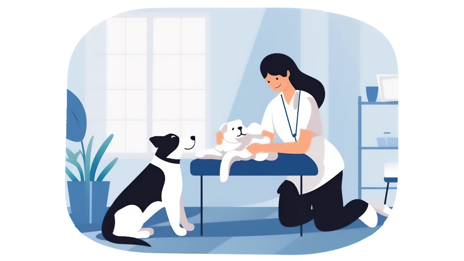 Hayvan Rehabilitasyon Merkezi 1 rehabilitasyon