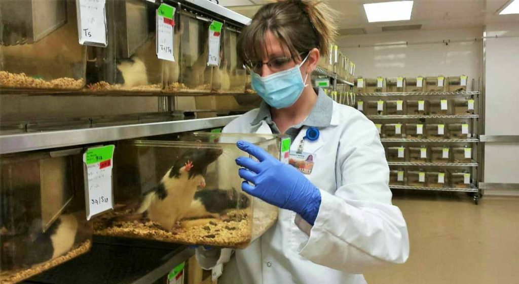 veteriner teknolojilerinin geliştiği süreçte kadın veeteriner hamsterları kontrol ediyor.
