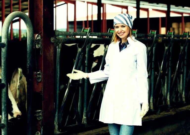 Nasıl Veteriner Teknikeri Olunur?