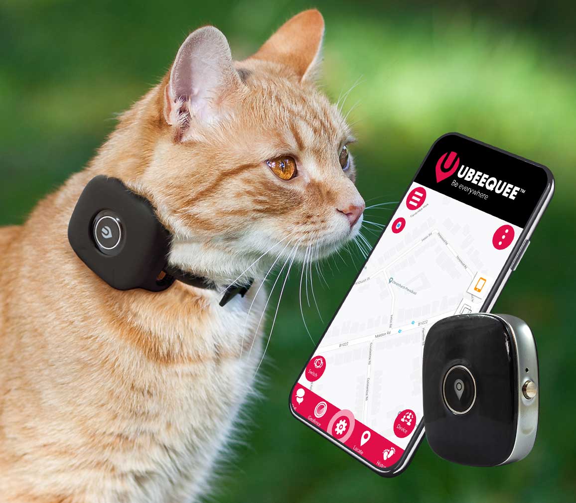 Kedi Takip Cihazı Kullanımı Vetes Veteriner