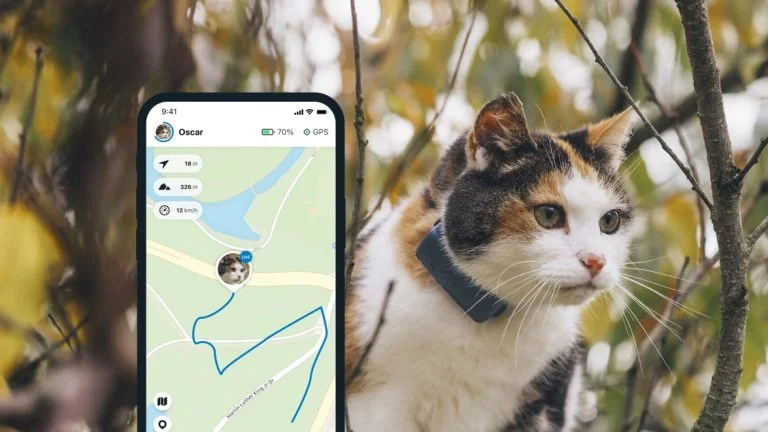 Kedi Takip Cihazı Kullanımı