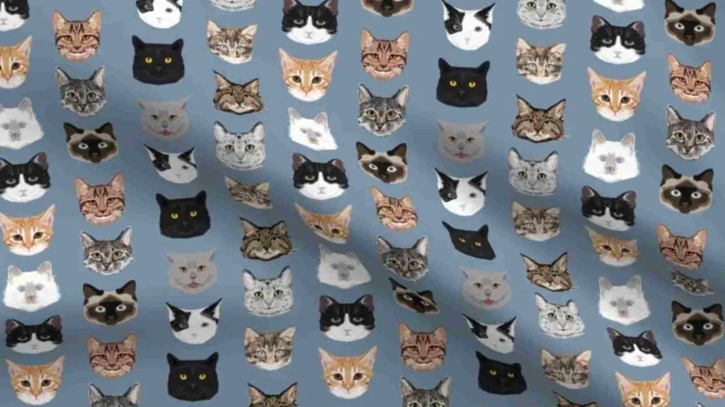 Kedi Cinsleri - Kedi Türleri ve Özellikleri 6 kedi suratlarının çizildiği dalgalı penye