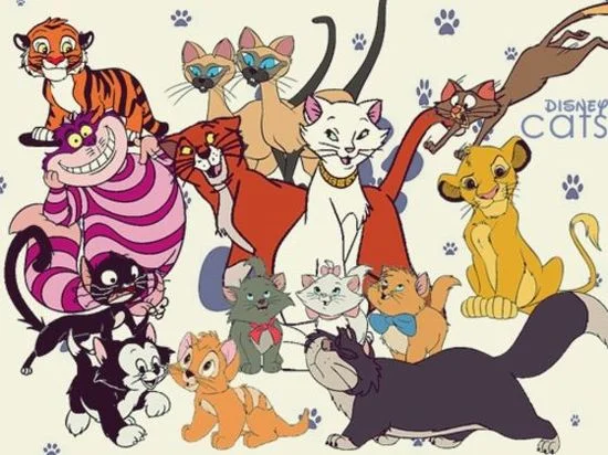 Dişi Ve Erkek Kedi İsimleri Önerileri (Popüler) 15 kediler için disney isimleri