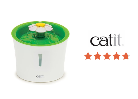Catit Kedi Su Pınarı