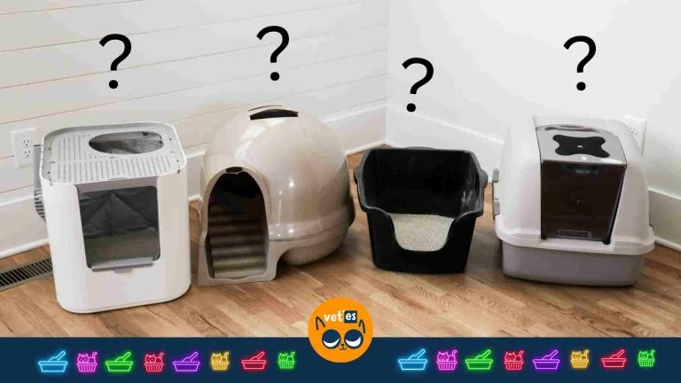 En İyi Kedi Tuvaleti Yorumları ve Karşılaştırması 10 En İyi Kedi Tuvaleti Yorumları ve Karşılaştırması