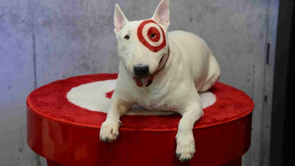 bir gözü hedef işareti şeklinde boyalı beyaz köpek
