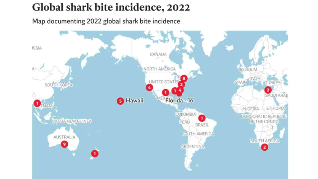 dünya genelinde son dönemde gerçekleşen köpek balığı saldırıları