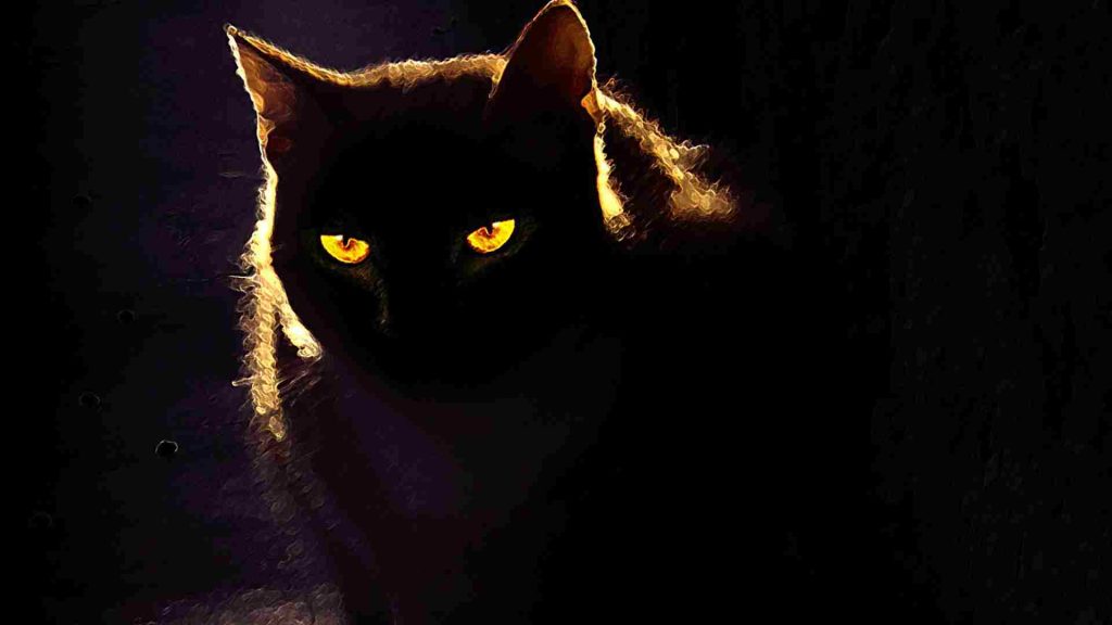 Gece vakti üzerine sarı bir ışık düşmüş sarı alevli gözlere sahip bir kedi