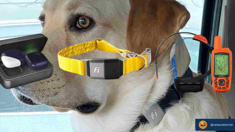 Köpek Takip Cihazı Kullanımı