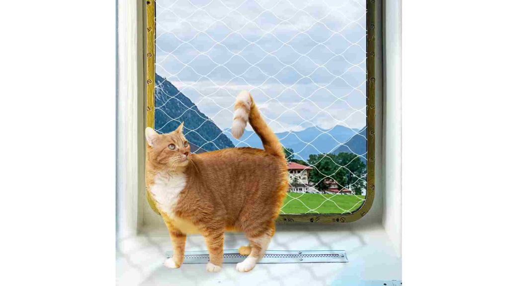 Doğal bir görüntüye sahip manzarada pencerenin diğer tarafında duran bir kedi