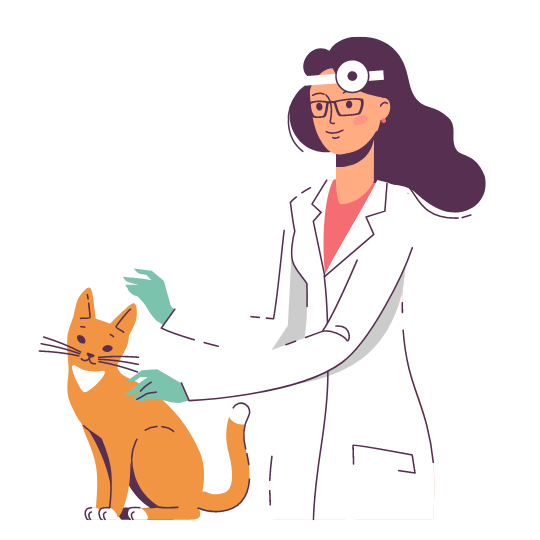 Kedi Aşı Hizmeti