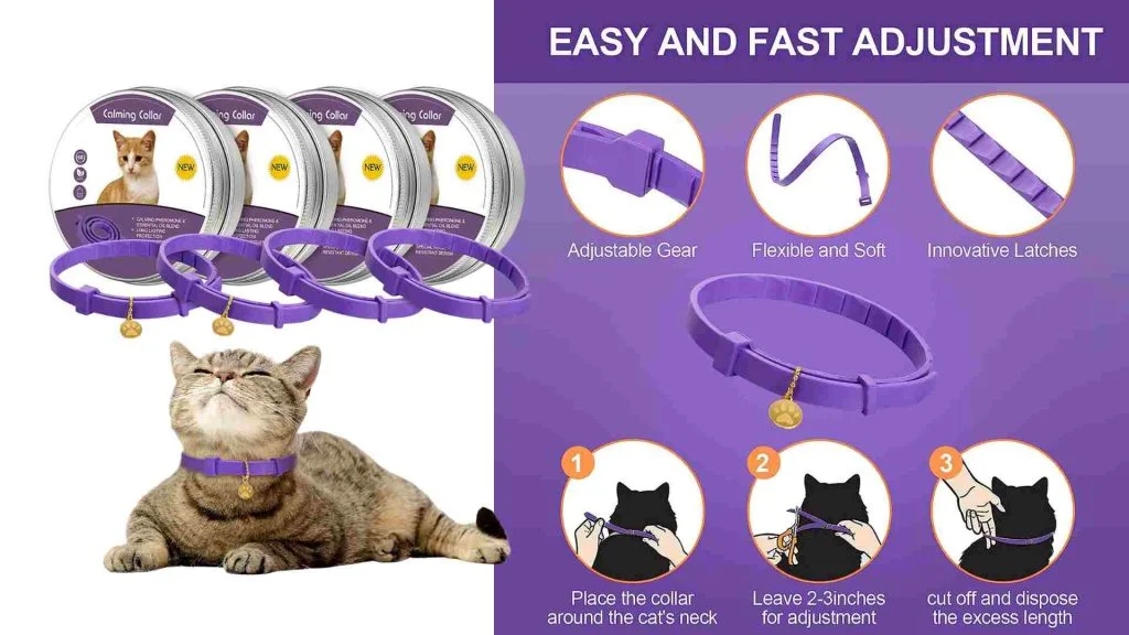 Kedi Piresi İnsana Geçer Mi? 9 kedi pire önleyici tasma kullanımı