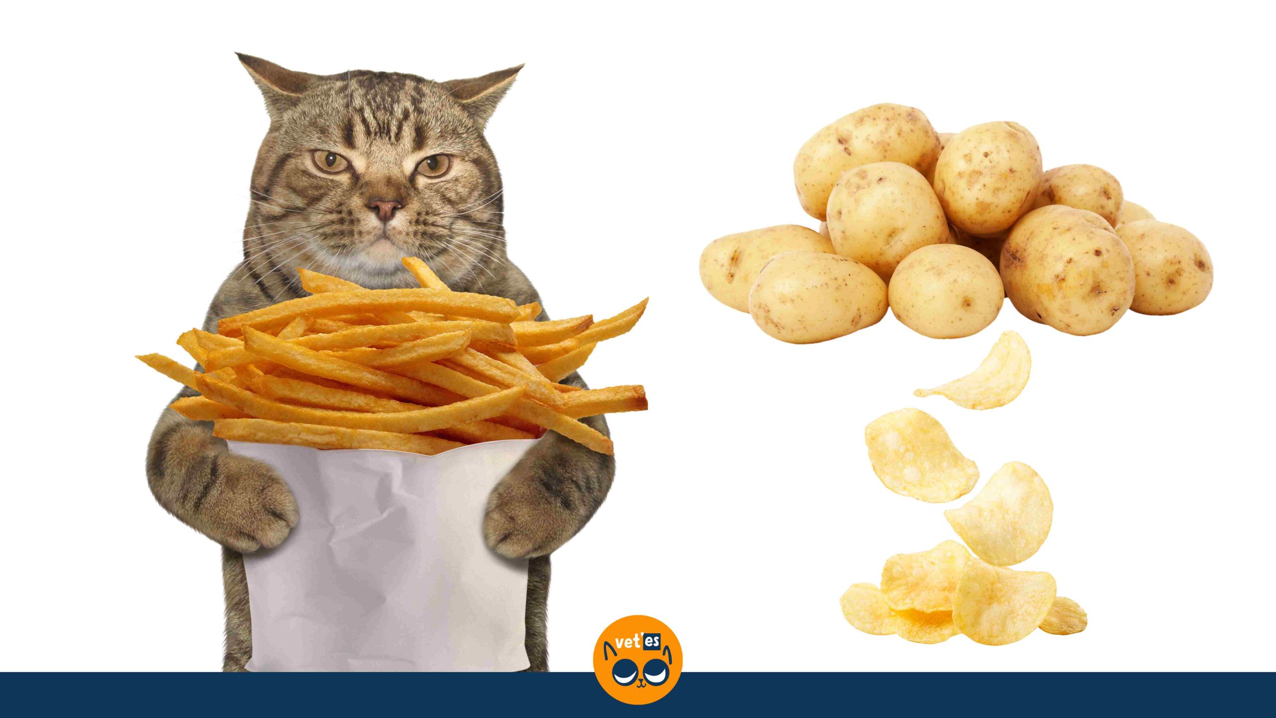 kediler patates yiyebilir mi