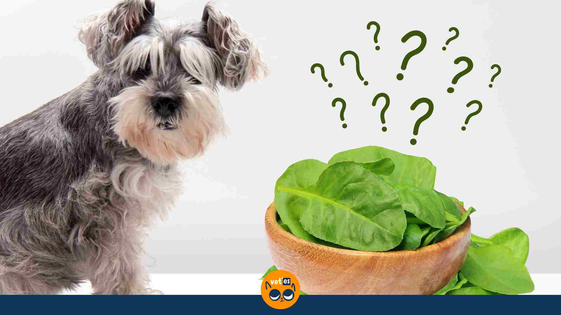 köpekler ıspanak yiyebilir mi?