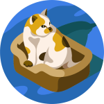 Çankaya Veteriner Kliniği 3 gümüş kedi