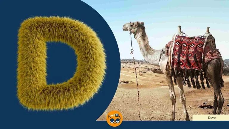 D Harfi İle Başlayan Hayvan Türleri Ve İsimleri