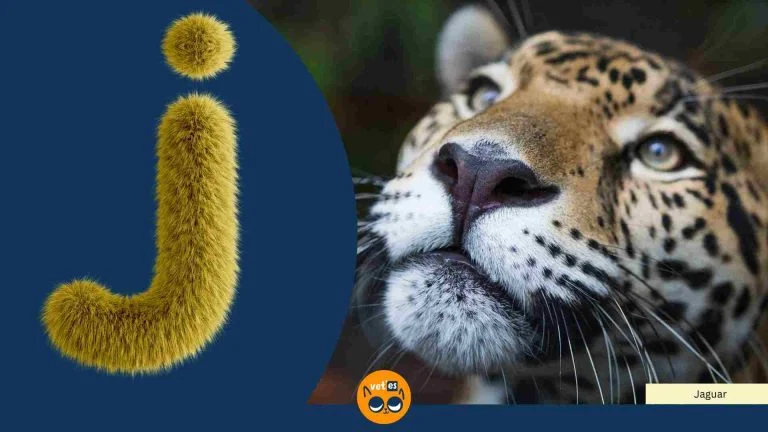 J Harfi İle Başlayan Hayvan Türleri Ve İsimleri