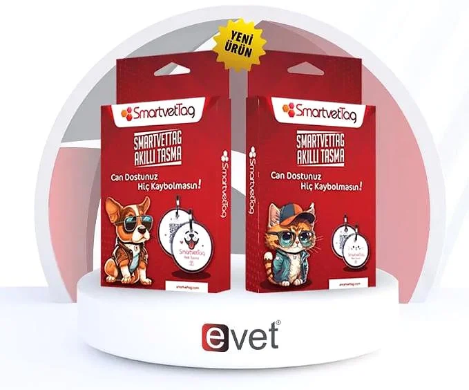 hasvet smartvettag kedi köpek akıllı tasma ürünü