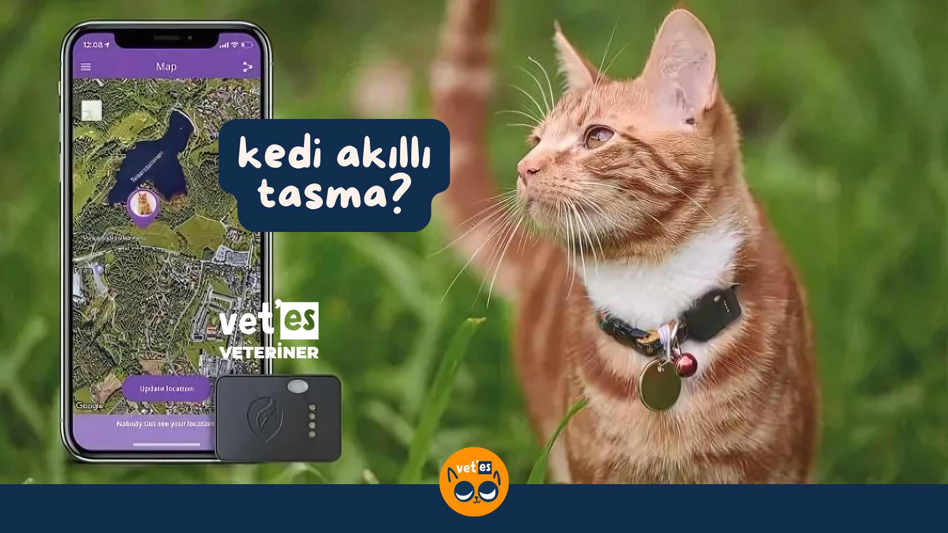 kedi akıllı tasma ürünleri ve özellikleri