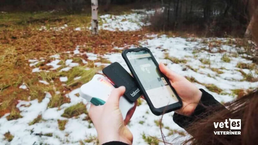 kedi akıllı tasması özellikleri