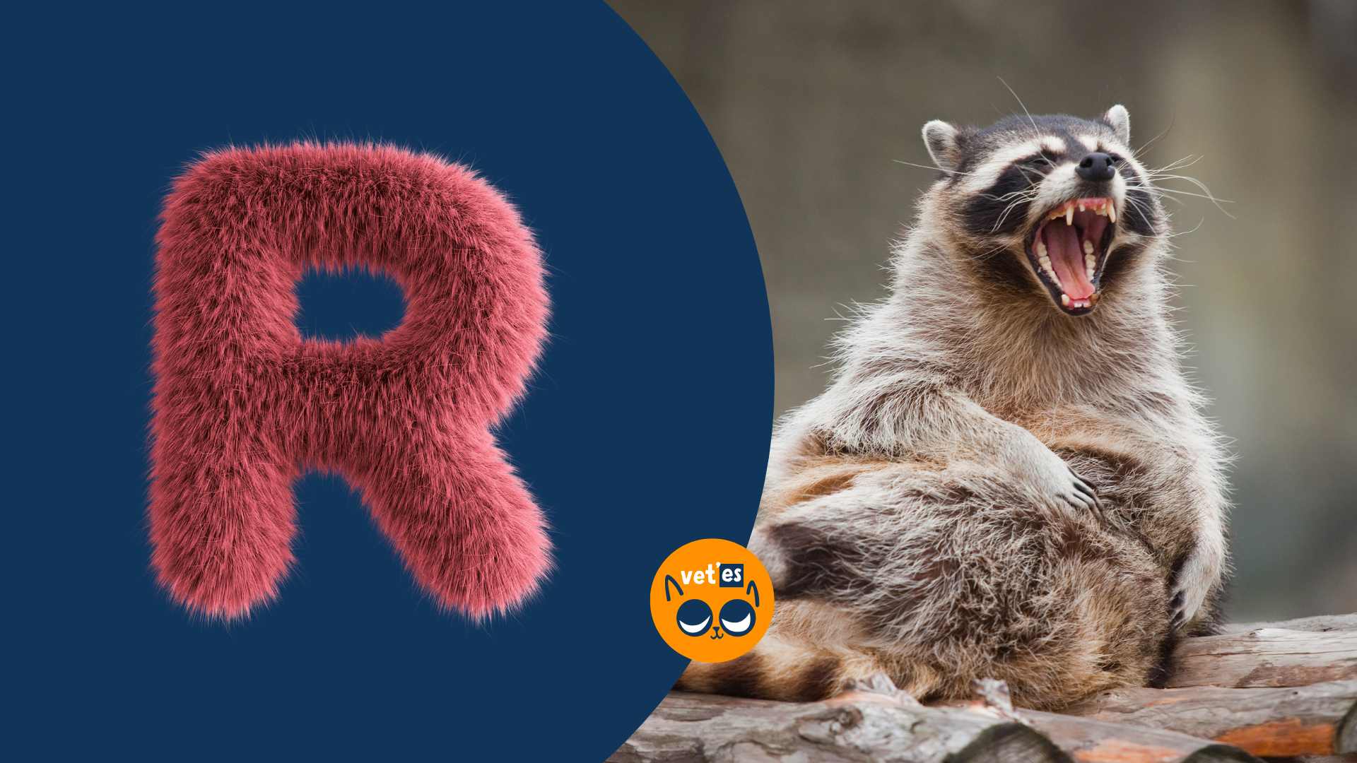 R harfi İle Başlayan