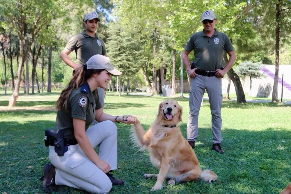 Hayvan Büro Amirliği Numarası ve Bilgileri 8 hayvan büro amirliği polisi görevleri