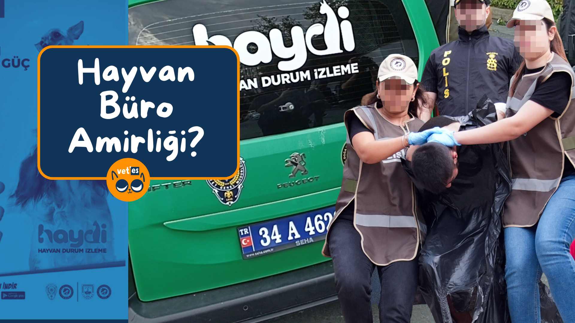 Hayvan Büro Amirliği Numarası ve Bilgileri 1 hayvan büro amirliği haydi uygulaması