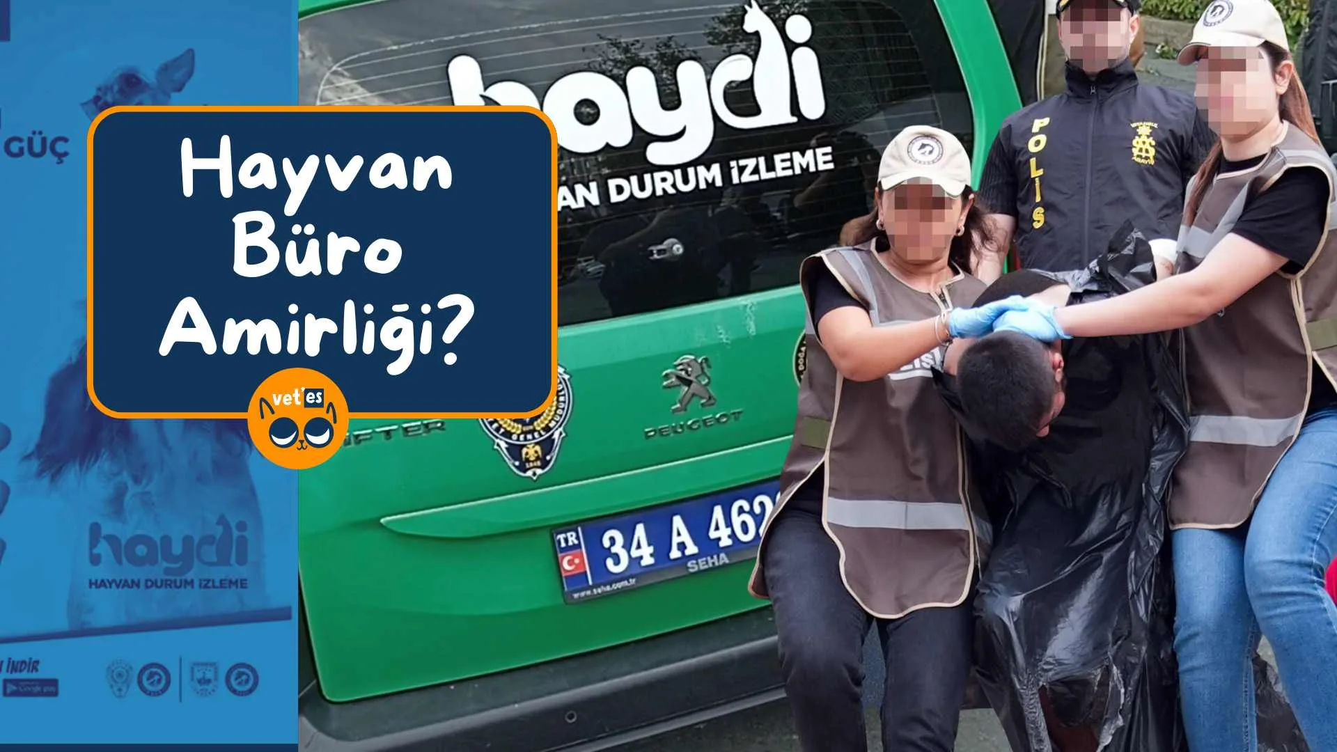 Hayvan Büro Amirliği Numarası ve Bilgileri 1 hayvan büro amirliği haydi uygulaması