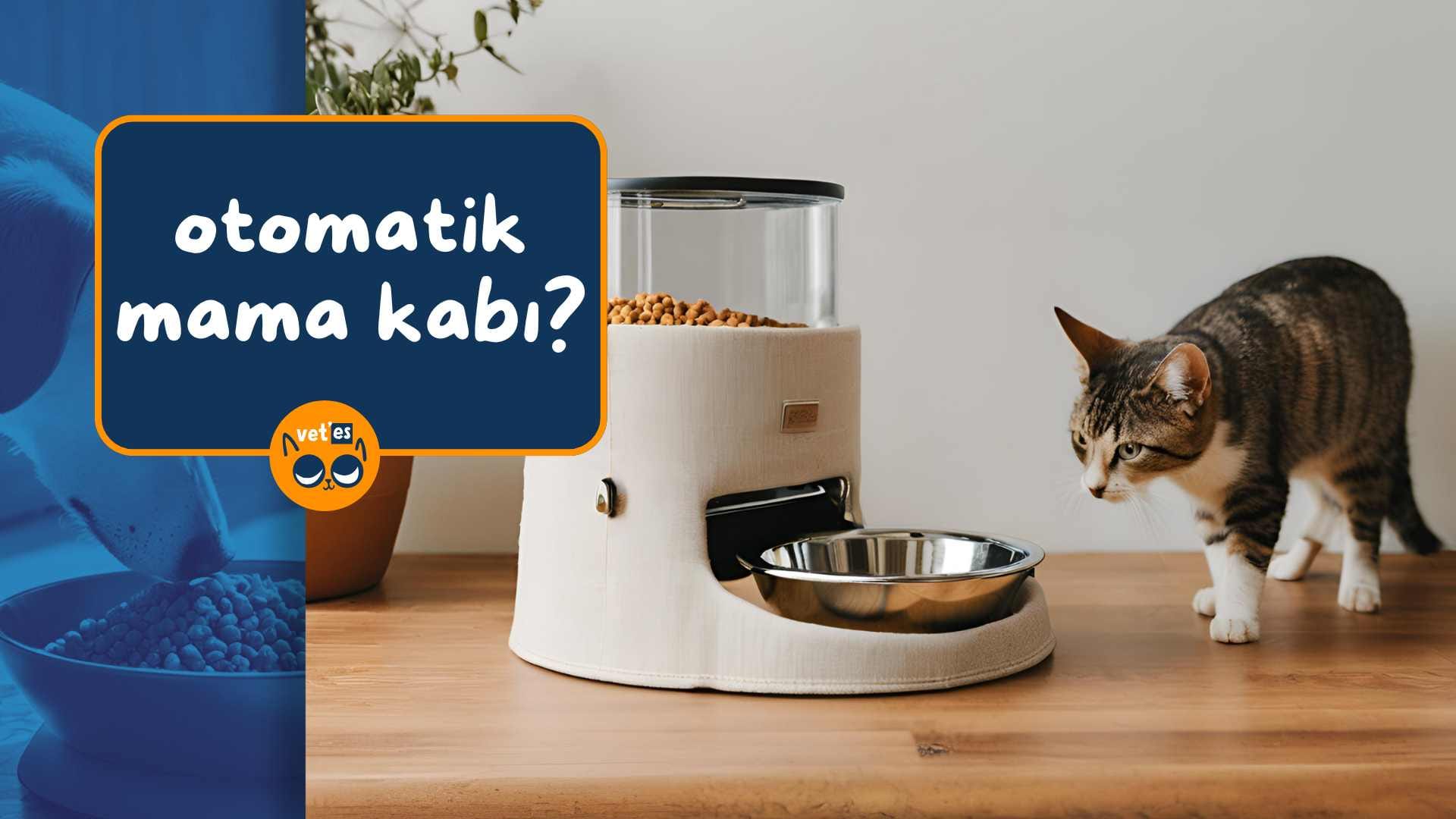 kedi ve köpek otomatik mama kabı ürünleri