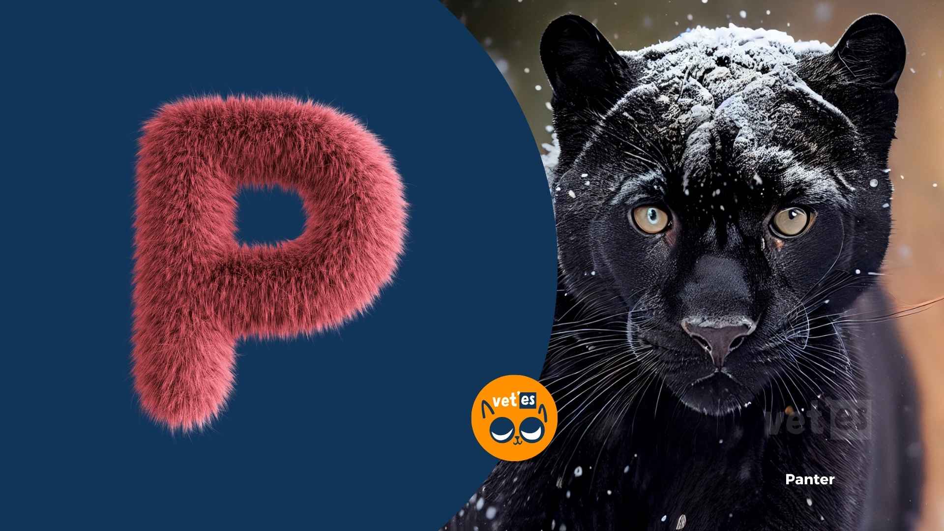 p harfi ile başlayan hayvan isimleri