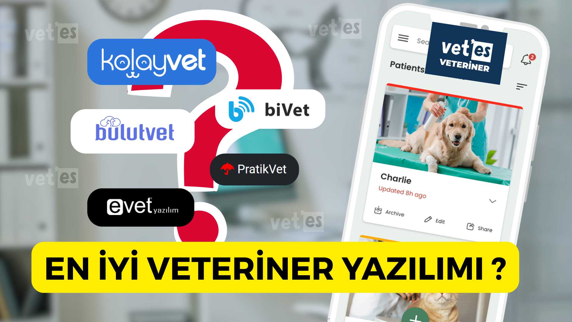 En iyi veteriner yazılımı vetesveteriner
