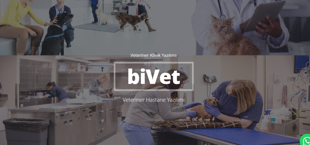 En İyi Veteriner Yazılımı Karşılaştırması 2025 8 Bivet Veteriner Yazılımı