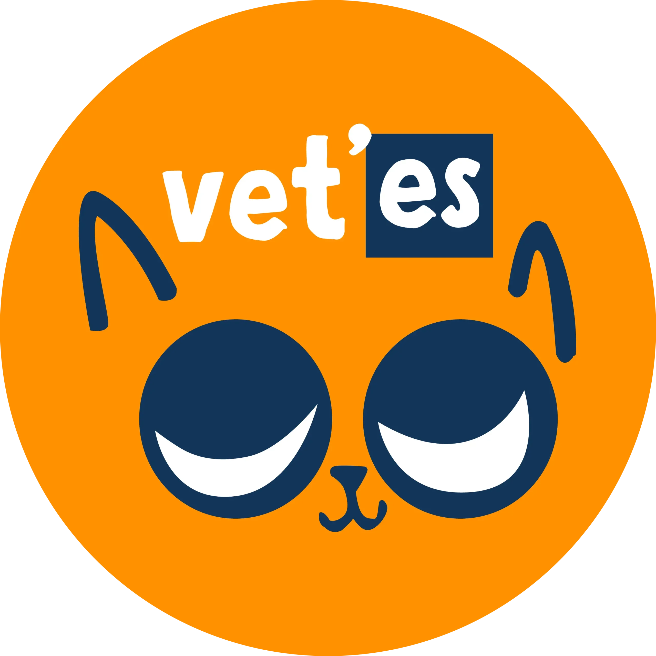 vetes logo ankara web scaled