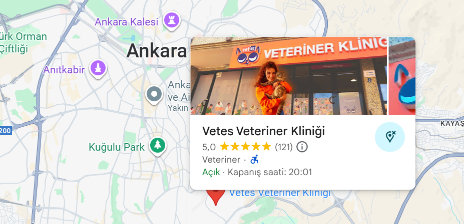 vetes-veteriner-location-1-vetes