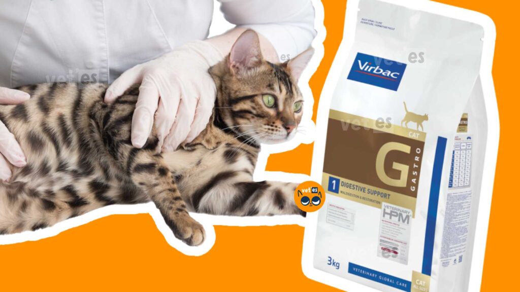 Virbac-Gastro-Digestive-Support-kedi-mamasi-Virbac-kedi-sindirim-destegi-vetesveteriner