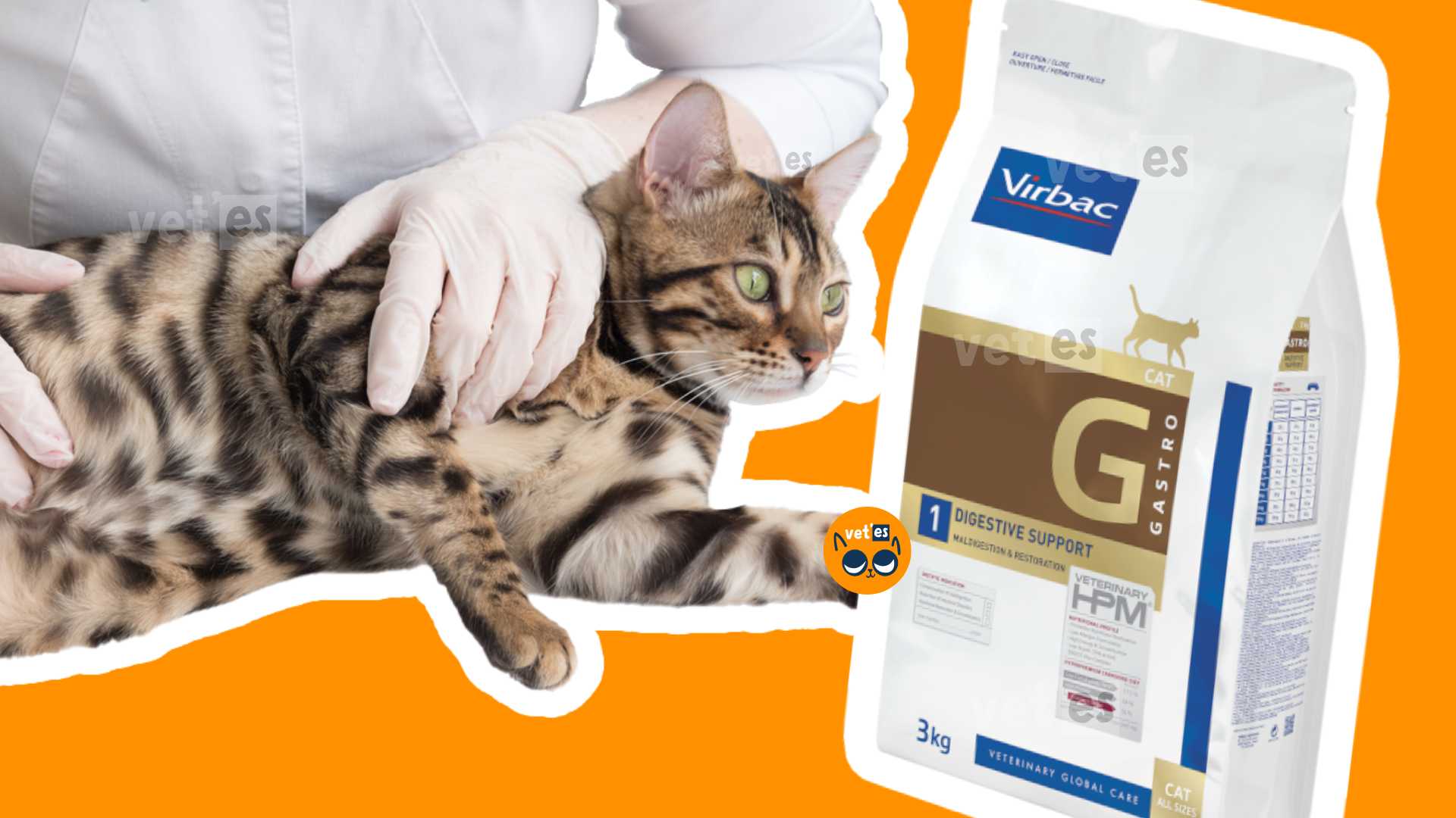 Virbac-Gastro-Digestive-Support-kedi-mamasi-Virbac-kedi-sindirim-destegi-vetesveteriner