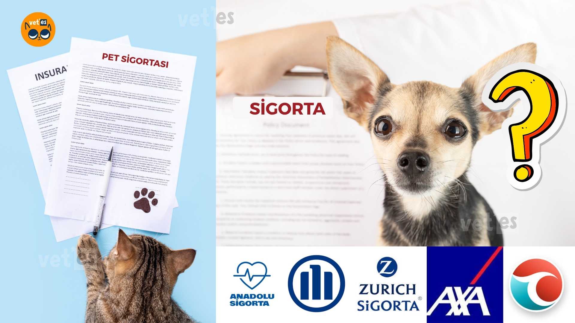 evcil hayvan sağlık sigortası nasıl yapılır?