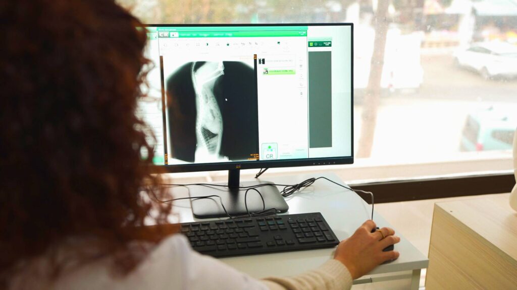 Röntgen Sonrası Sonuç Analizleri-Vetes Veteriner Kliniği