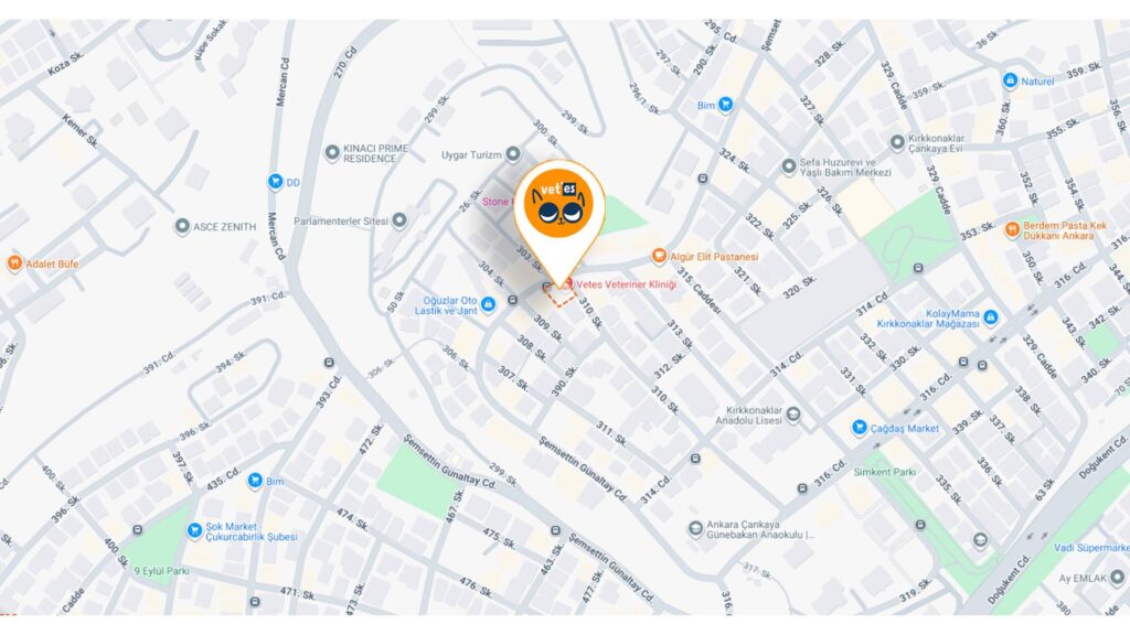 Vetes Ankara Veteriner Kliniği Detalı Google Maps Görünümü